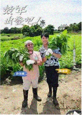 极限挑战2026
